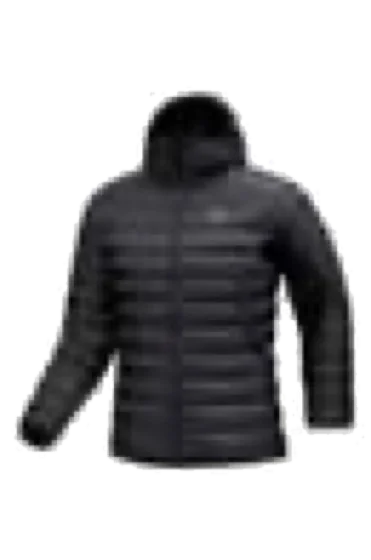 Arc'teryx Cerium Puffer Jacket