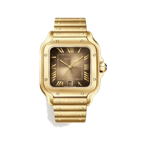 Cartier Santos de Cartier watch "Brown Dial"