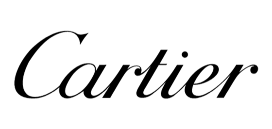 Cartier - Santos de Cartier watch