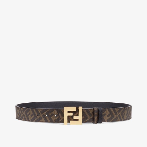 Fendi Belt