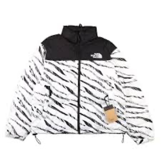 The North Face Zebra Stripe Down Jacket